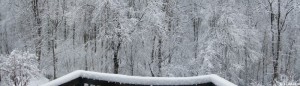 Snowy Day